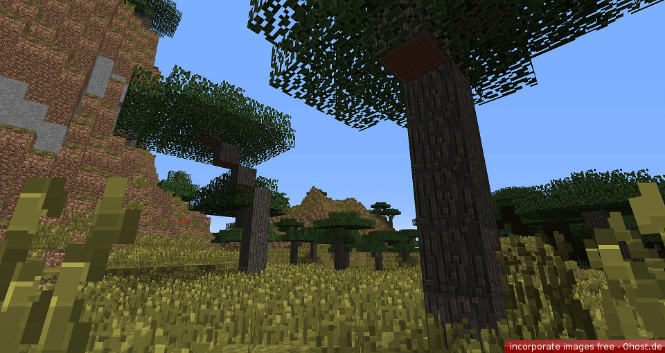 Traditional Beauty Texture Pack Image 3